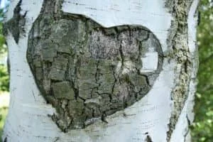 true love