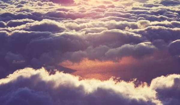 God's Plans