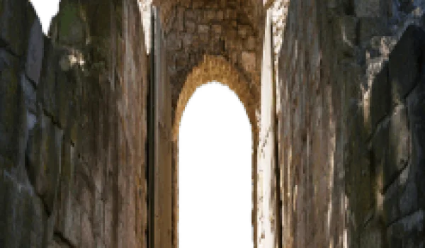 wall